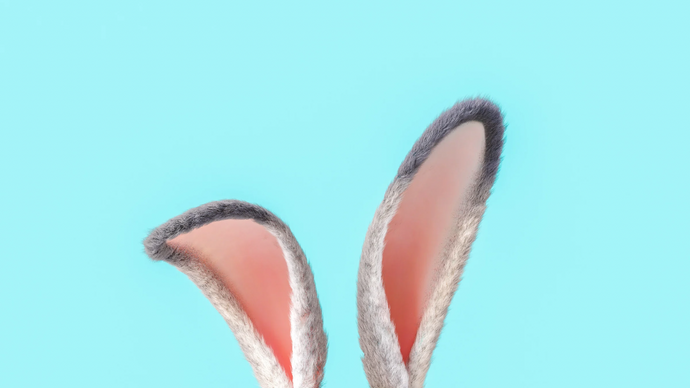 Scent Your Home for Easter: The Ultimate Guide to Creating a Springtime Sensory Experience