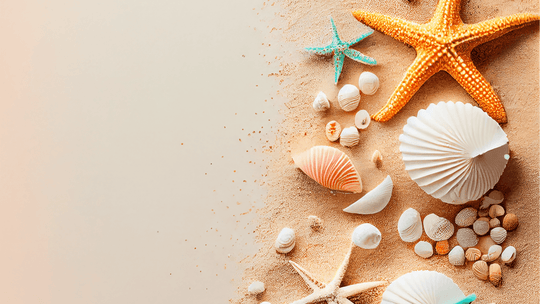 Best Summer Beachy Scents for a Mini Vacation at Home | YOU ME & EMILIO