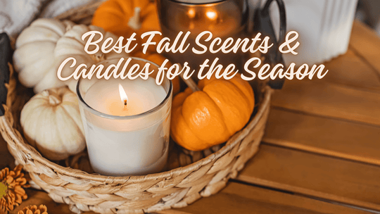 Creando un hogar acogedor y aromático: Mejores fragancias y velas de otoño para la temporada