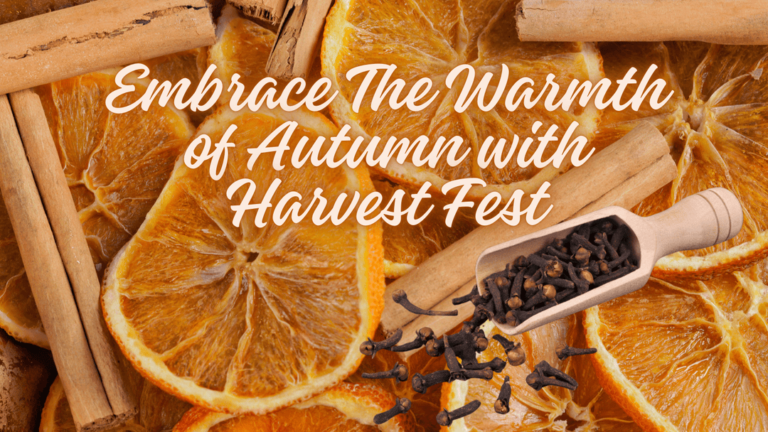 Embrace the Warmth of Autumn with Harvest Fest: A Blend of Orange, Cinnamon, and Clove - You Me and Emilio