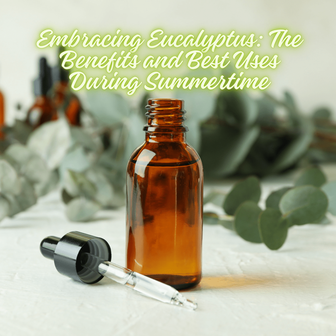 Embracing Eucalyptus: The Benefits and Best Uses During Summertime - You Me and Emilio