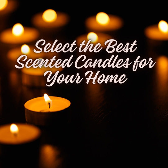 Guía para Elegir las Mejores Velas Aromáticas para Tu Hogar | Tú, Yo y Emilio Velas de Soja Aromáticas