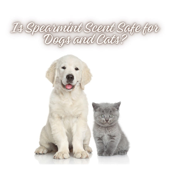 Is Spearmint Safe for Dogs? Is It Safe for Cats?