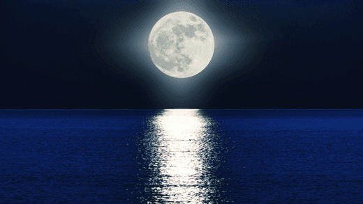 Rituals During the Full Moon: Harnessing Lunar Energy for Psychic Alignment & Prosperity - You Me and Emilio