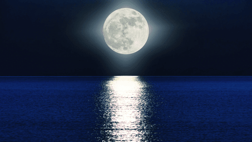 Rituals During the Full Moon: Harnessing Lunar Energy for Psychic Alignment & Prosperity - You Me and Emilio