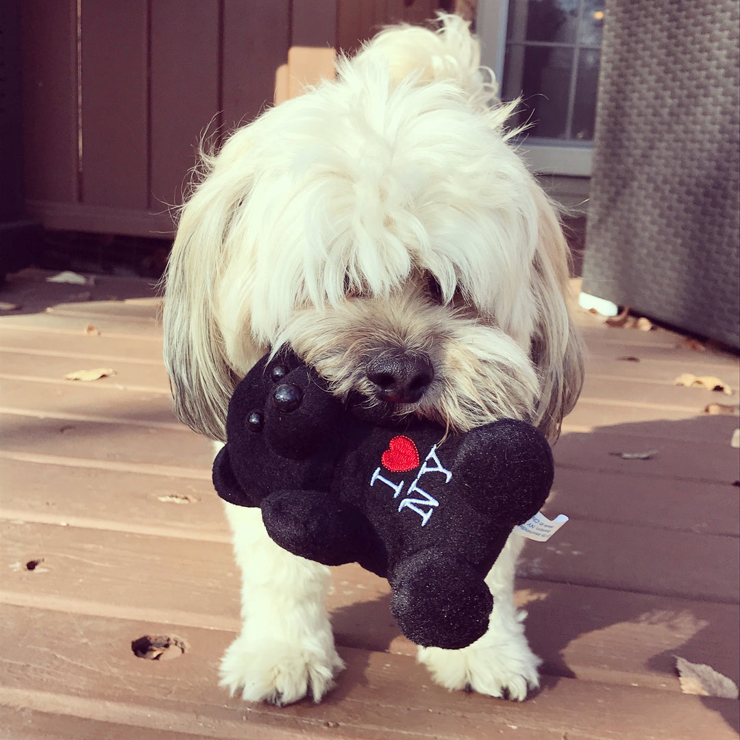 Safe Scents for Pets - You Me and Emilio