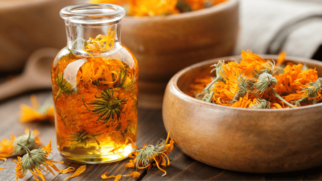 Summer Bliss: The Power of Essential Oils and Why They Belong in Your Routine - You Me and Emilio