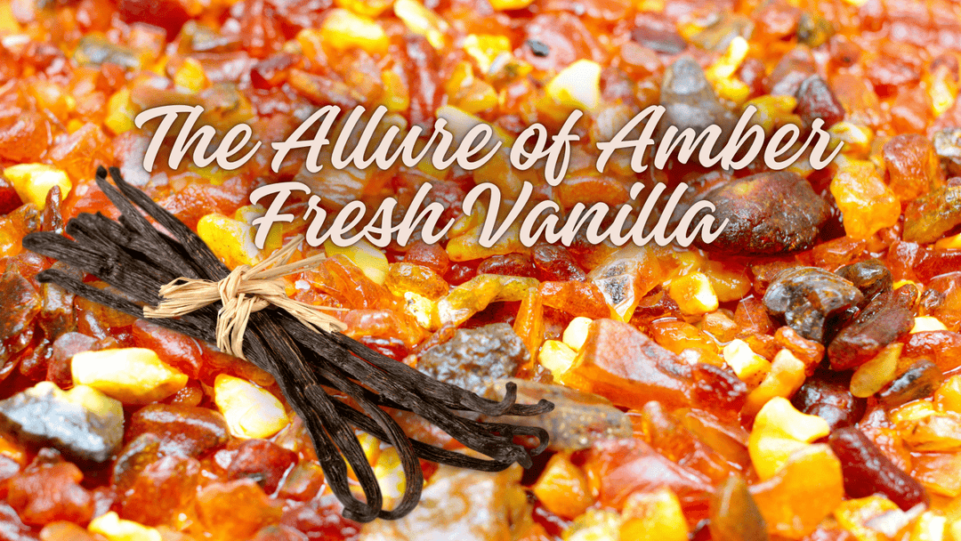 The Allure of Amber Fresh Vanilla: Handcrafted Soy Wax Candles by Emilio Horton - You Me and Emilio