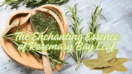 The Enchanting Essence of Our Rosemary Bay Leaf Soy Candle: A Journey of Fragrance and Well-being