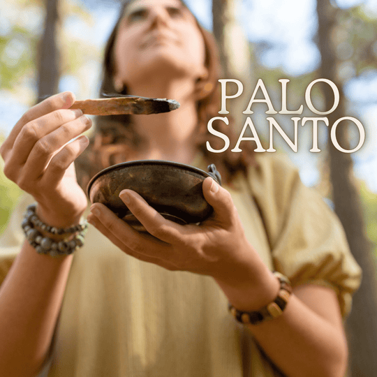 Discover Palo Santo: Aromatic Bliss in Our Soy Candles, Wax Melts, Room Mists & Oils