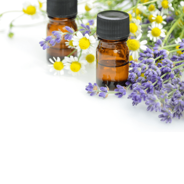 The Power of Aromatherapy: Unveiling its Impact on Memory - You Me and Emilio