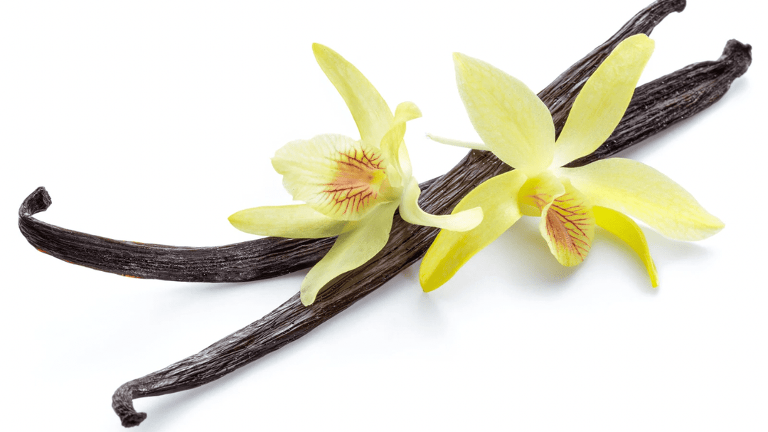 Wild Madagascar Vanilla Collection - You Me and Emilio