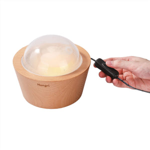 Wooden Essential & Fragrance Oil Diffuser