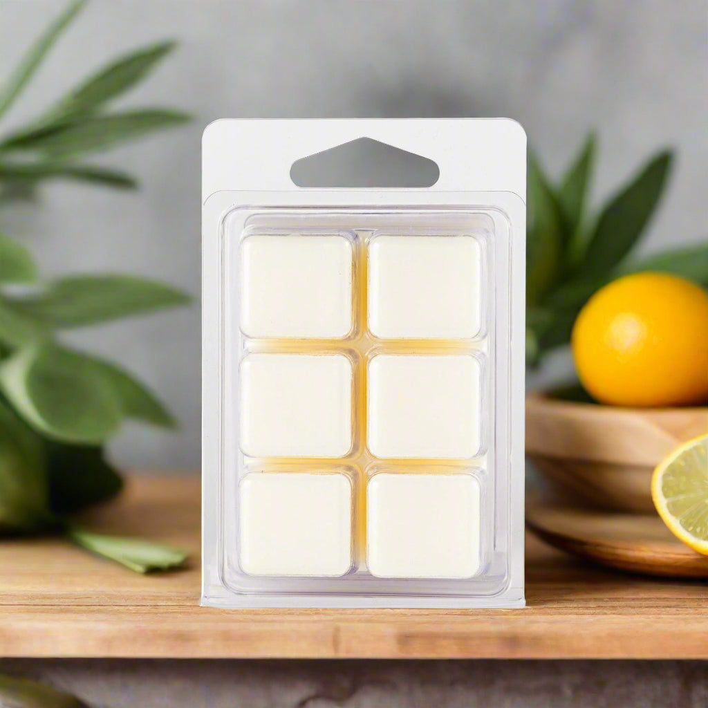 Texas Spice Soy Wax Melts with bold, warm fragrance, hand-poured for a luxury home scent experience.
