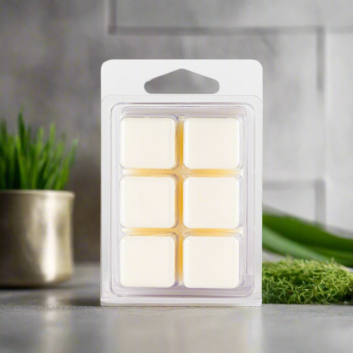 Packaged wax melts on a neutral background with plants