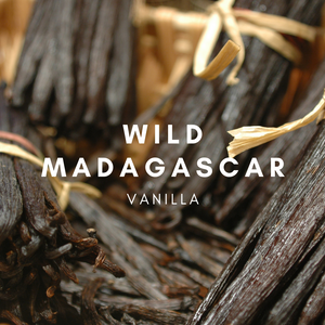 Vela de soja de vainilla salvaje de Madagascar