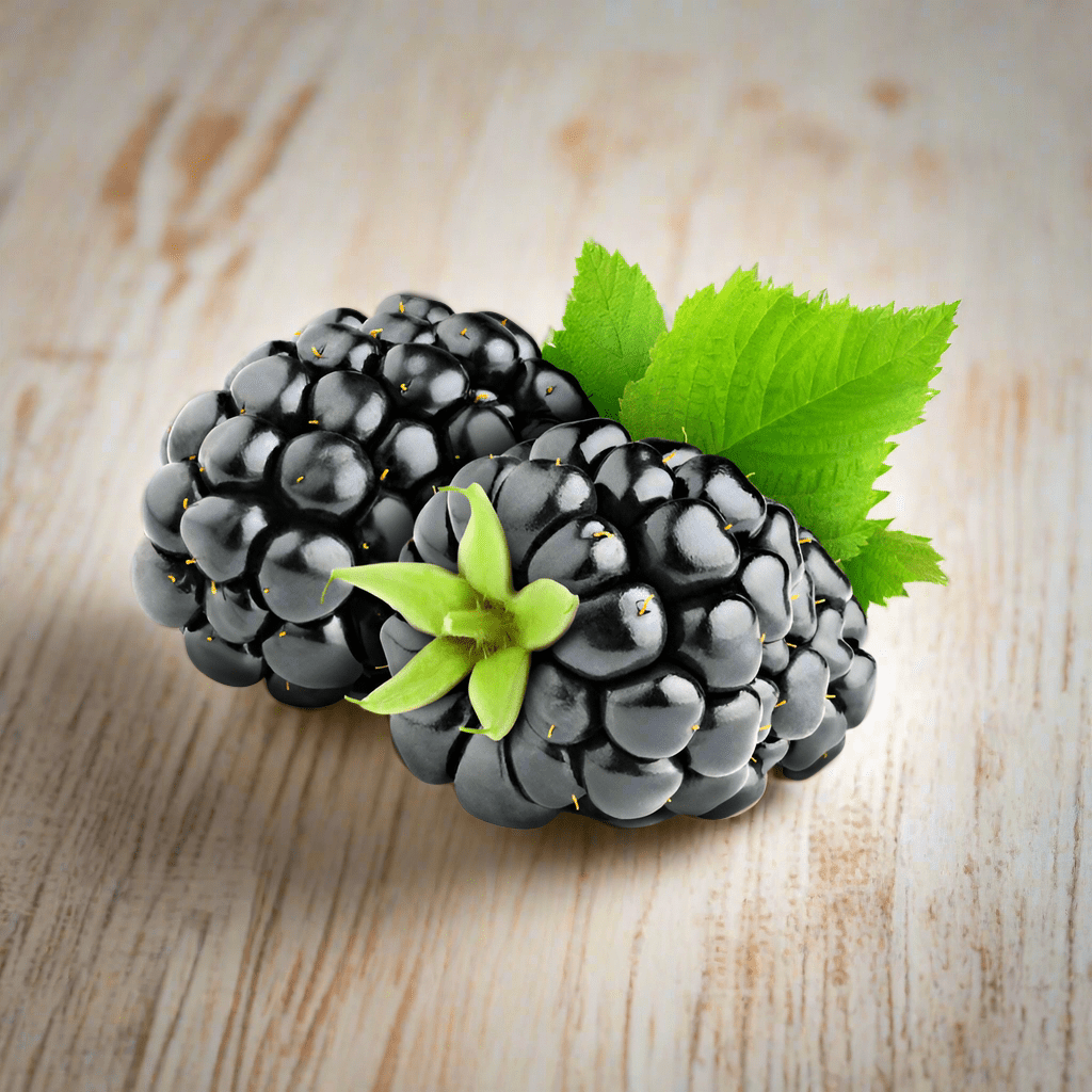 Almond Blackberry Sage Soy Candle - You Me and Emilio