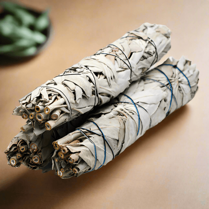 Almond Blackberry Sage Soy Candle - You Me and Emilio