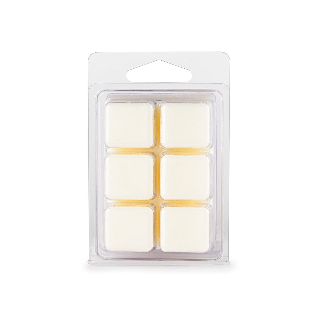 Emilio's Blend Soy Wax Melts - You Me and Emilio