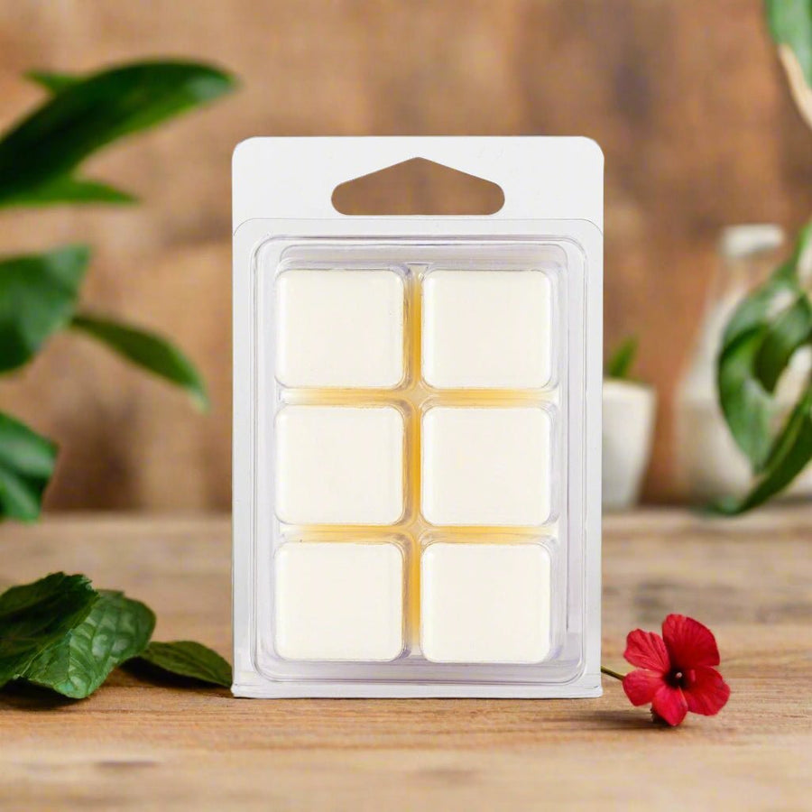 Hibiscus Soy Wax Melts - You Me and Emilio