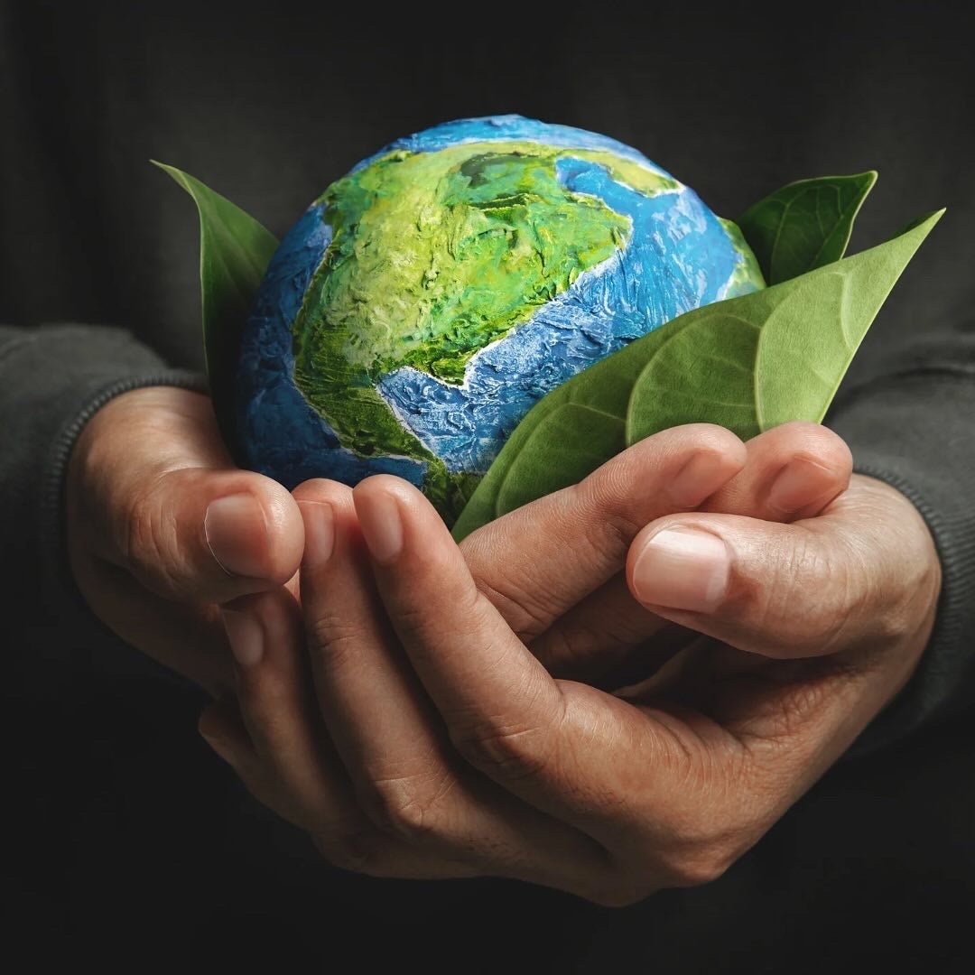 Planta un Árbol por $1 – Restaura Bosques y Protege la Vida Silvestre ...