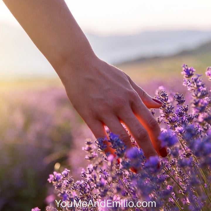 <transcy>Aceite esencial de lavanda | Aceite puro</transcy>