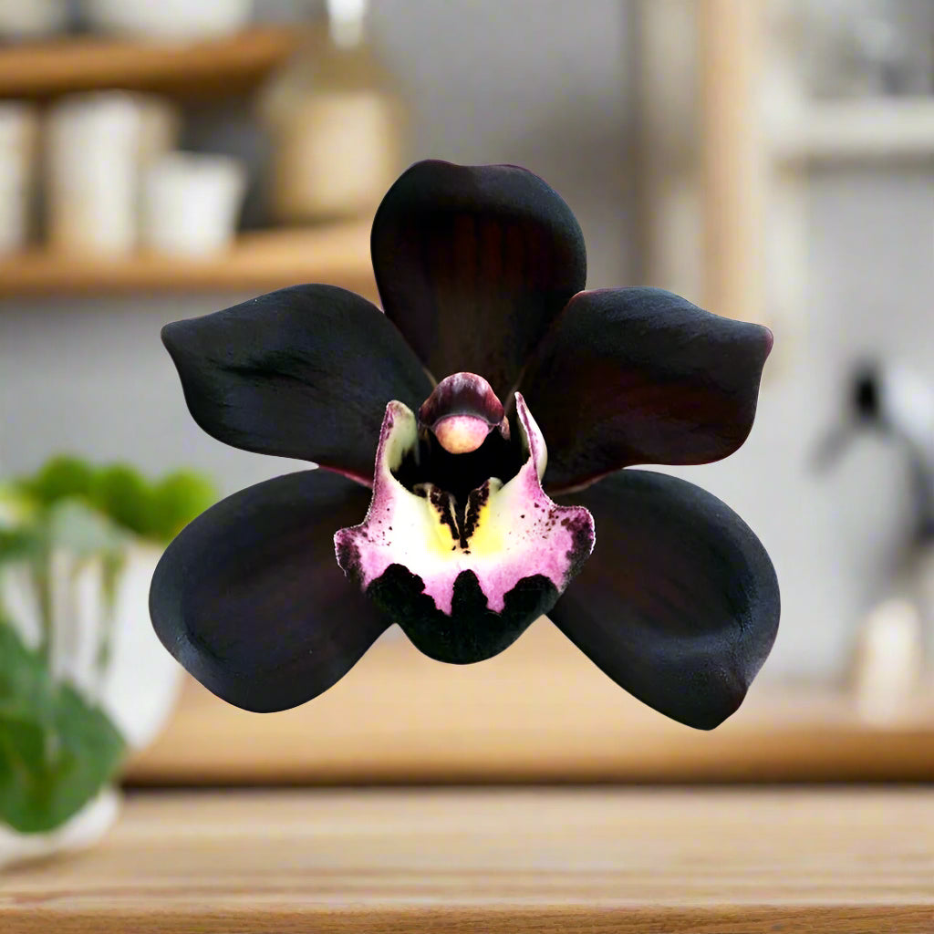 Close-up of the Black Orchid Deluxe Soy Candle, showing its smooth soy wax and flickering flame.