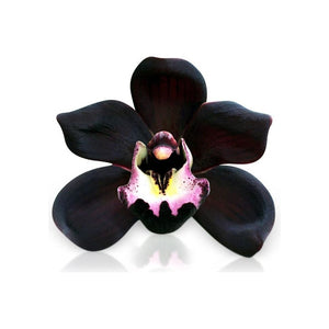 <transcy>Se derrite la cera de soja de orquídea negra</transcy>