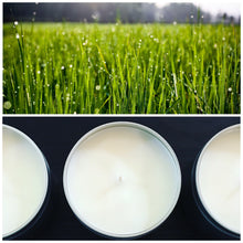 Summer Grass Soy Candle