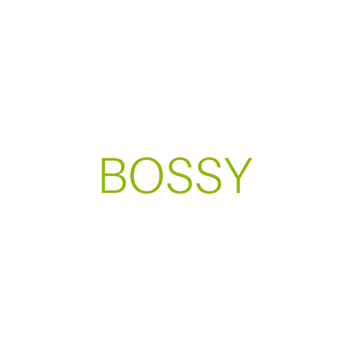 Bossy Soy Wax Melts - You Me and Emilio