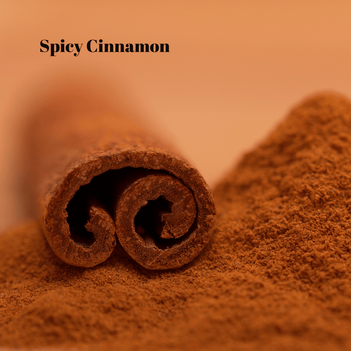 Cranberry Spice Soy Wax Melts - You Me and Emilio