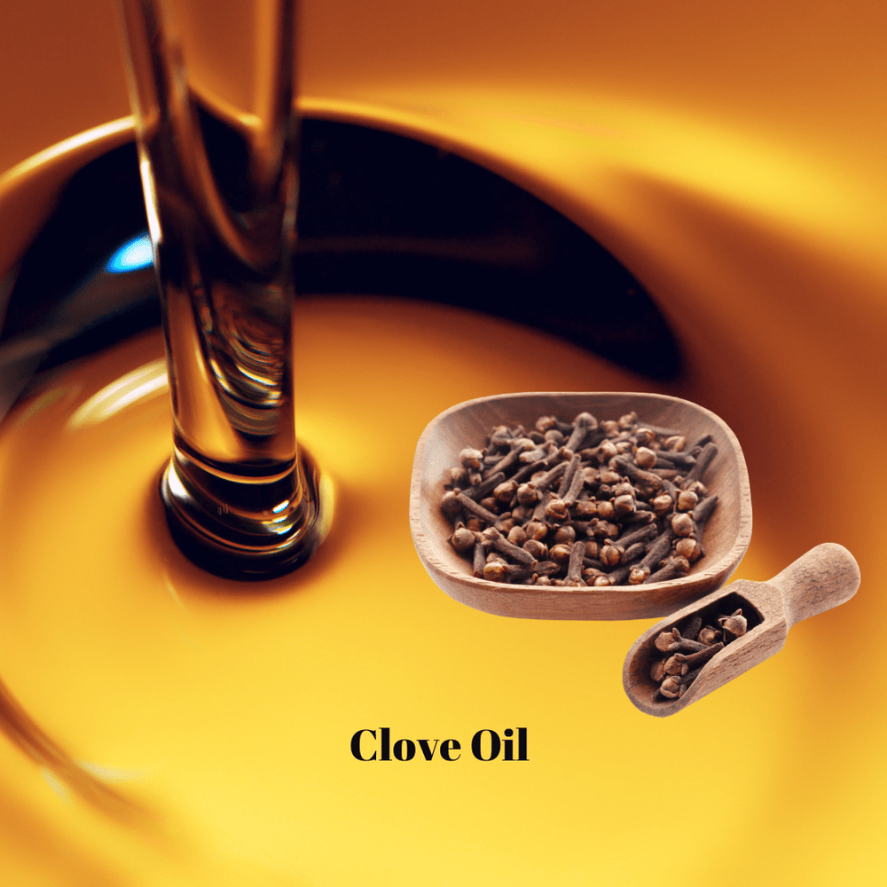 Cranberry Spice Soy Wax Melts - You Me and Emilio