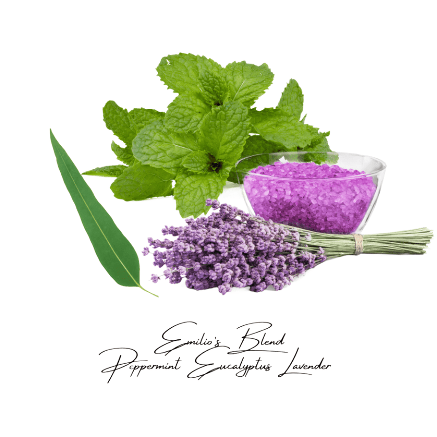 Emilio's Blend Room Mist - You Me and Emilio