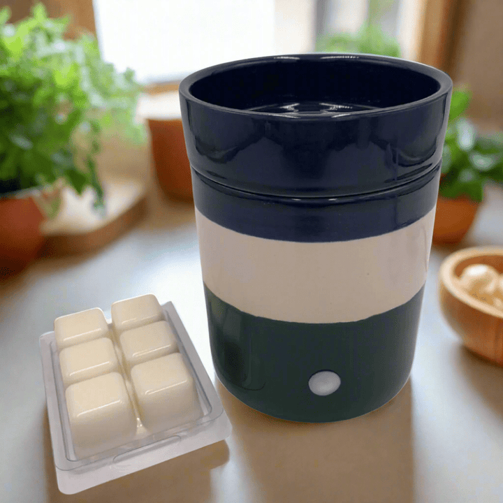 Fragrance Soy Wax Warmer - You Me and Emilio