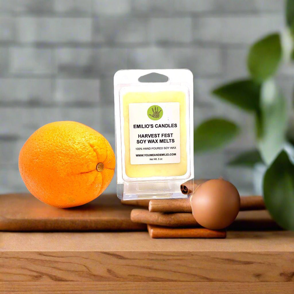 Harvest Fest Soy Wax Melts - You Me and Emilio