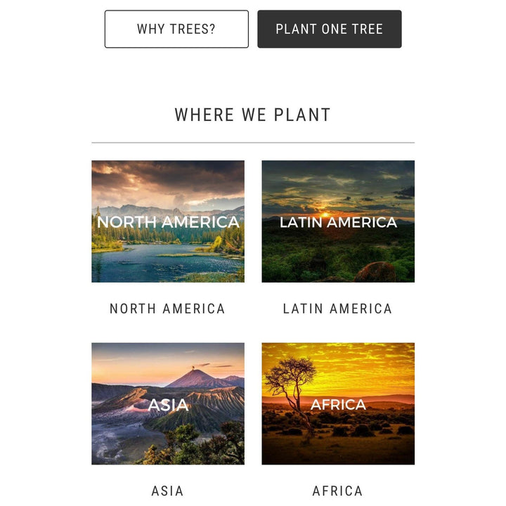 Tree to Be Planted