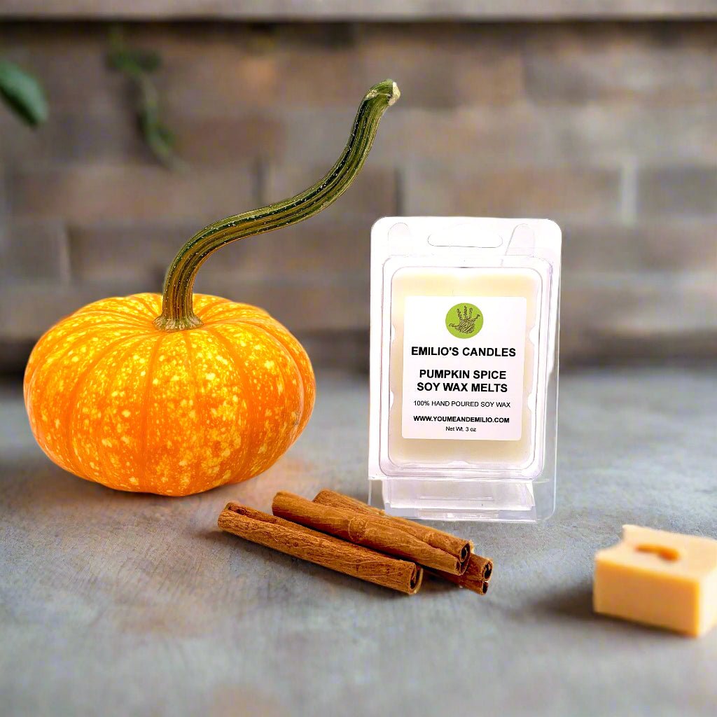 Pumpkin Spice Soy Wax Melts - You Me and Emilio