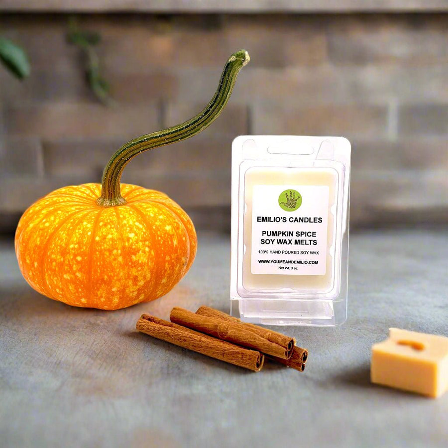 Pumpkin Spice Soy Wax Melts - You Me and Emilio