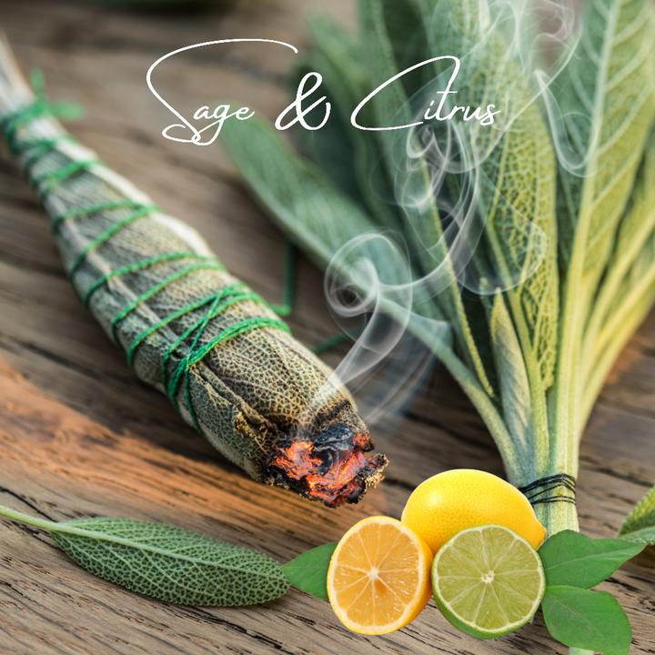 Sage & Citrus Body Splash - You Me and Emilio