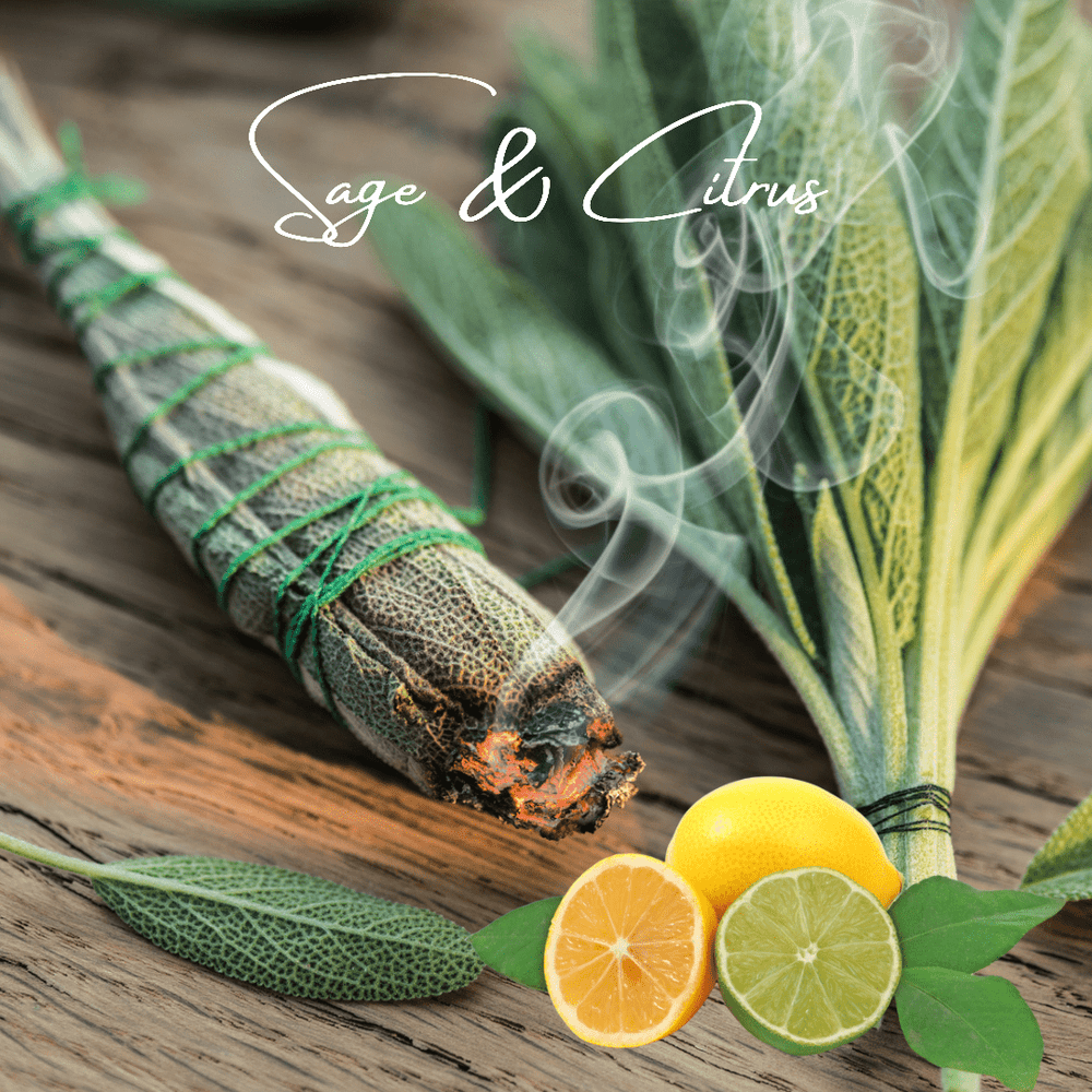 Sage & Citrus Hand Sanitizer Mist - You Me and Emilio