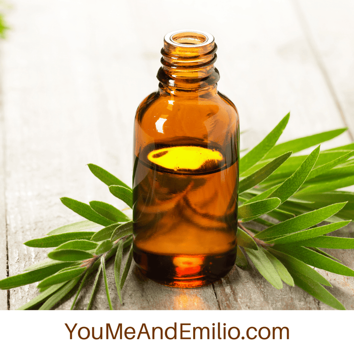 Tea Tree Essential Oil | Pure Oil - You Me and Emilio