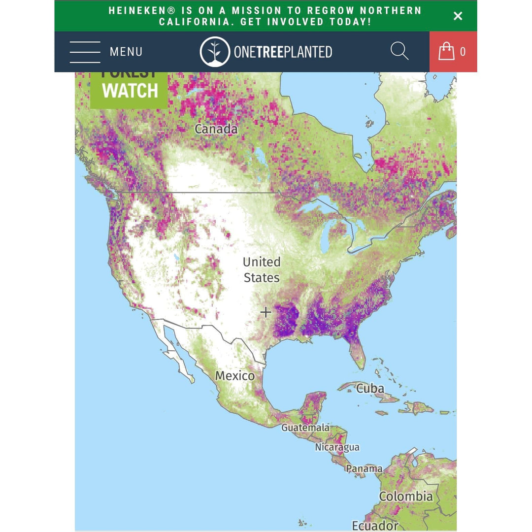 Tree to Be Planted - You Me and Emilio