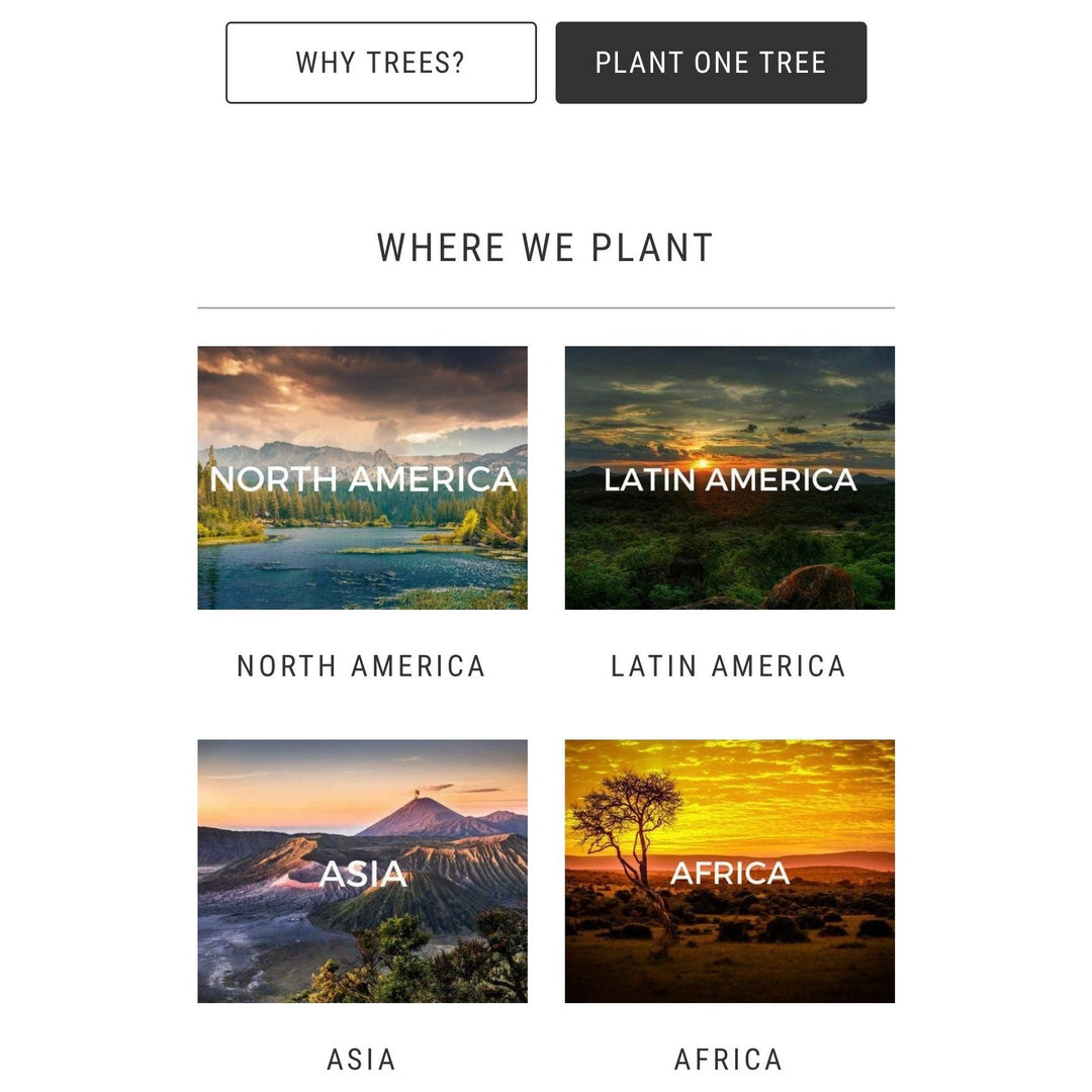 Tree to Be Planted - You Me and Emilio