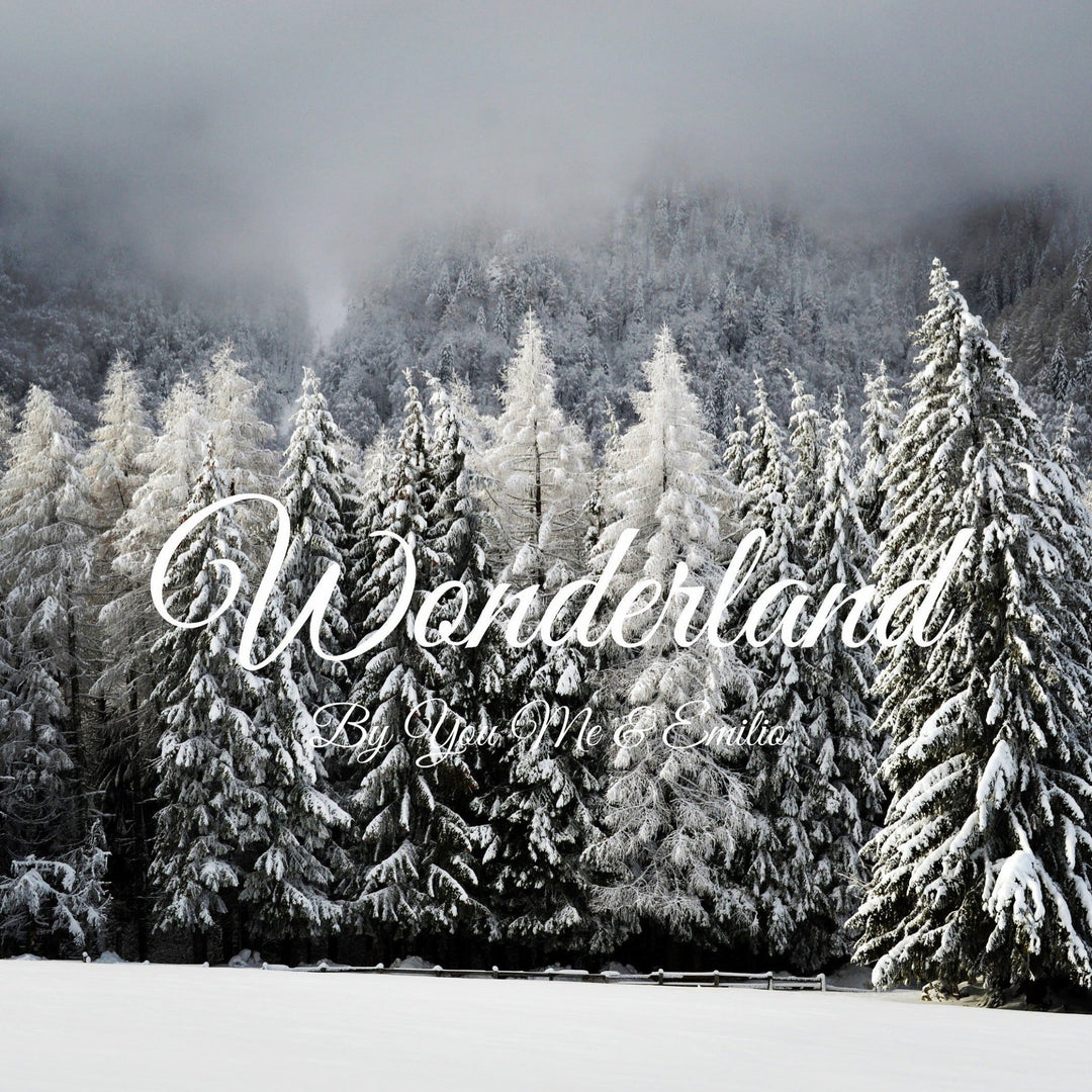 Wonderland Soy Wax Melts - You Me and Emilio